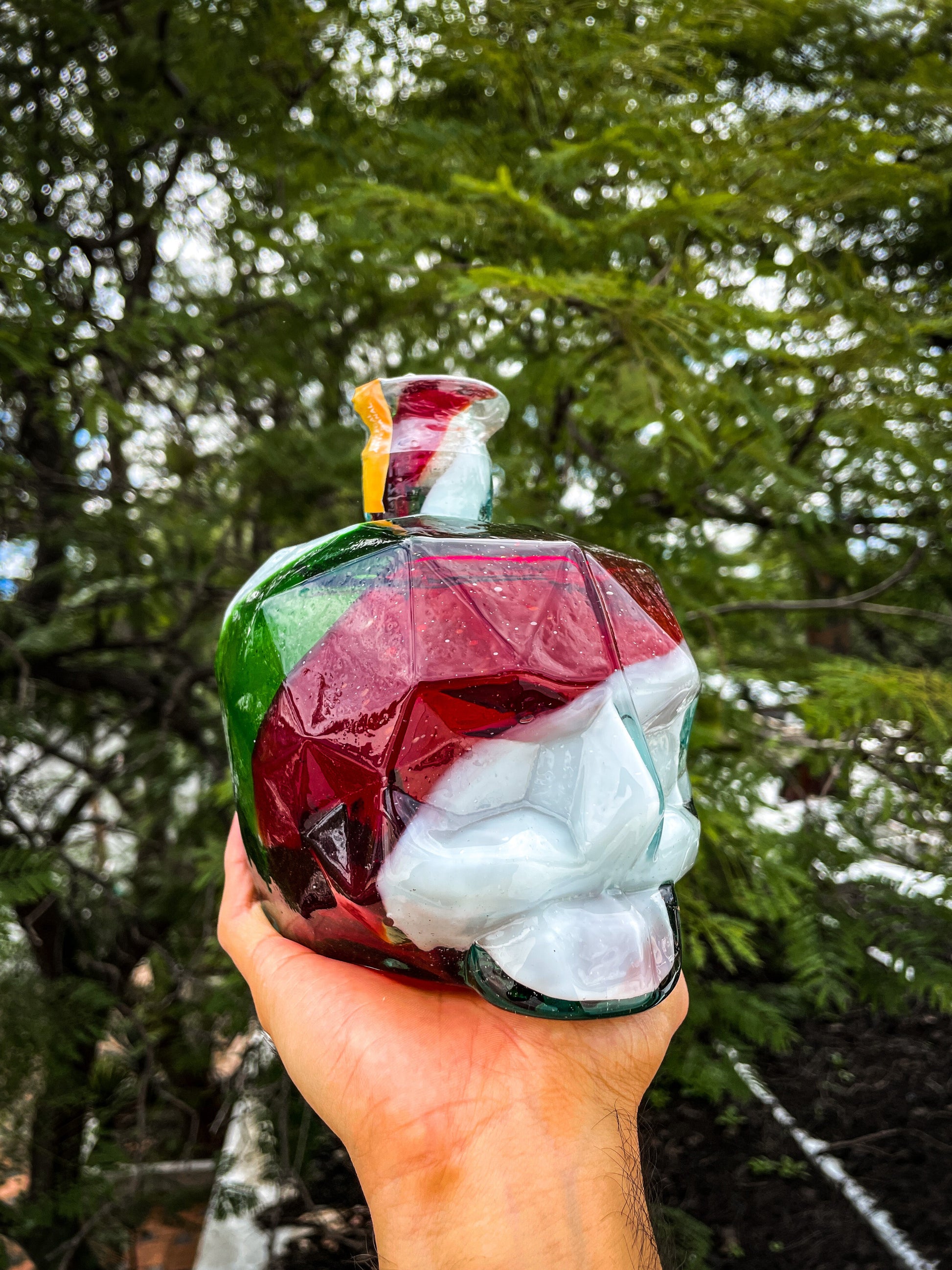 CRÁNEO TRICOLOR AGAVE MEXICANO (CRÁNEOS ÚNICOS CONSULTA MODELOS DISPONIBLES)