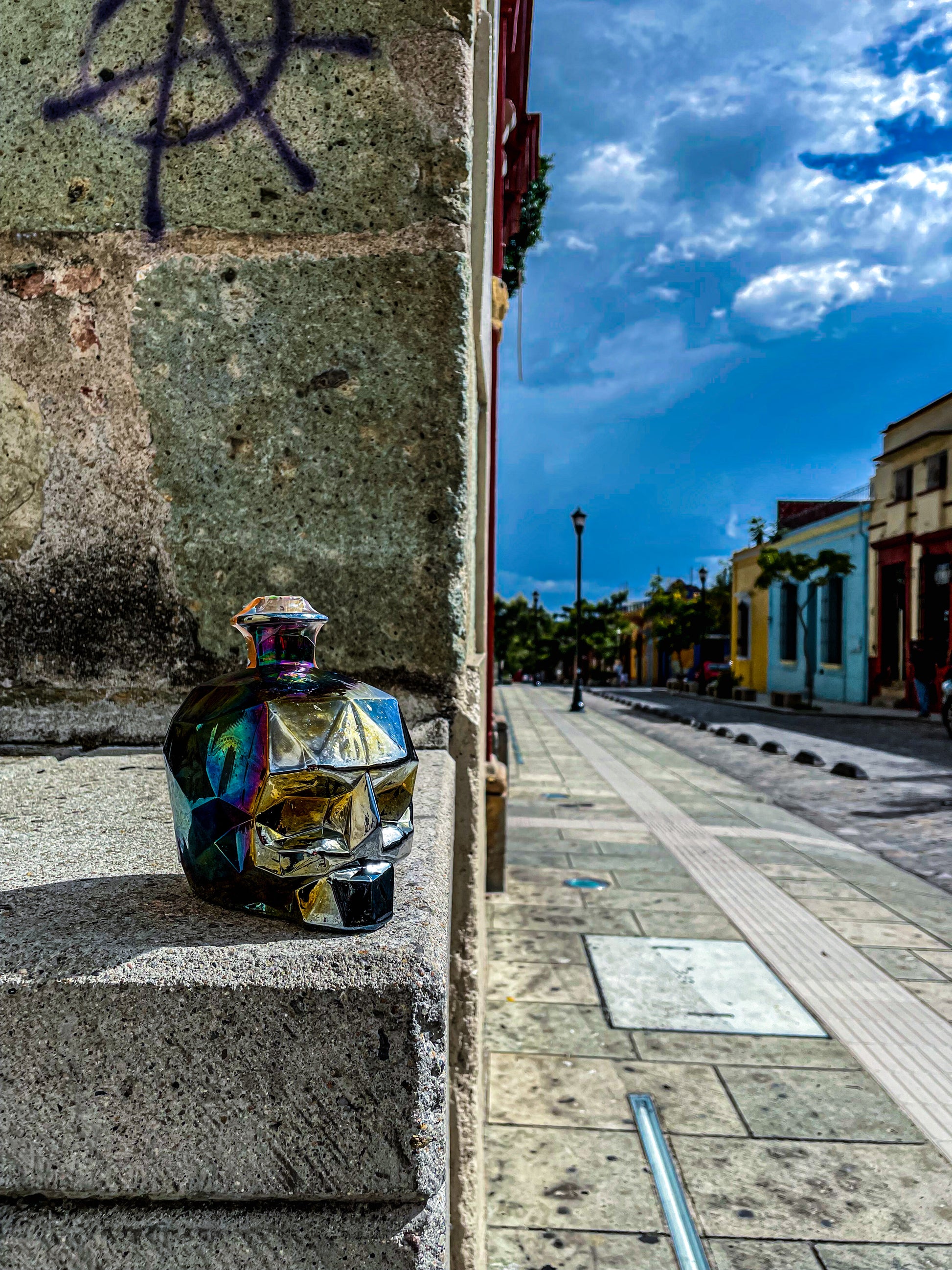 CRANEO NEGRO MEZCAL ARTESANAL REPOSADO AGAVE ESPADÍN