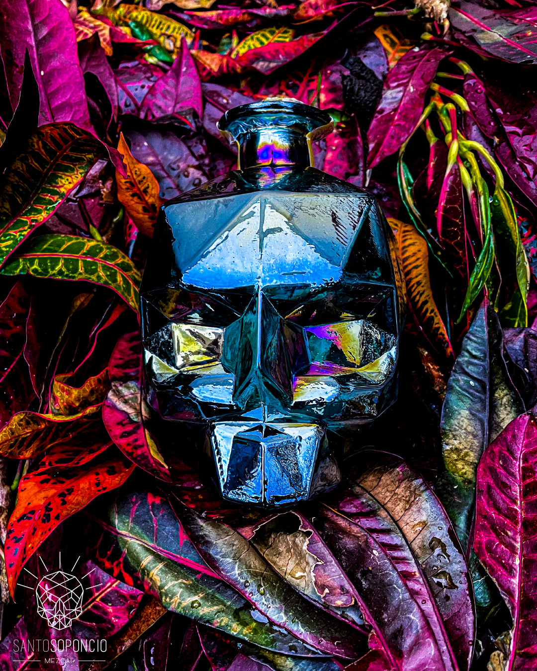 CRANEO AZUL MEZCAL ARTESANAL JOVEN AGAVE ESPADÍN