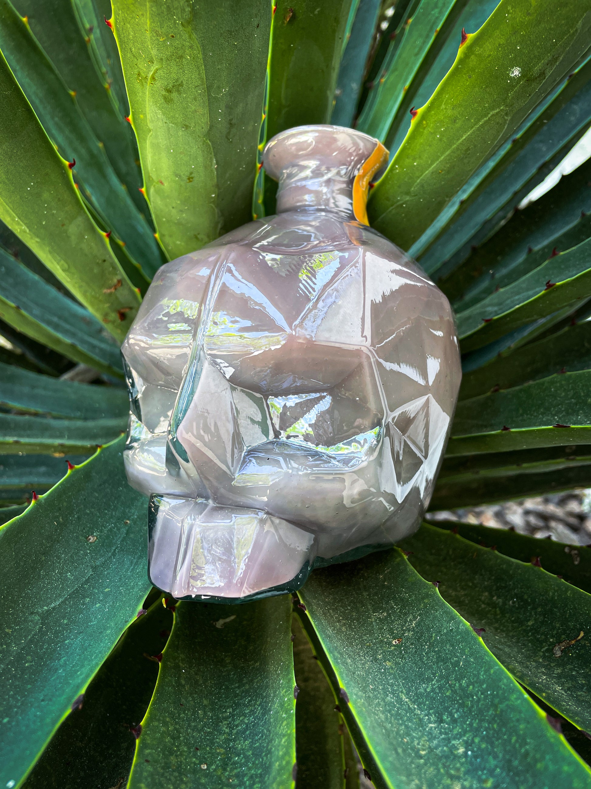 CRANEO MEZCAL ESPADÍN JOVEN 47 GRADOS MAESTRO ABEL