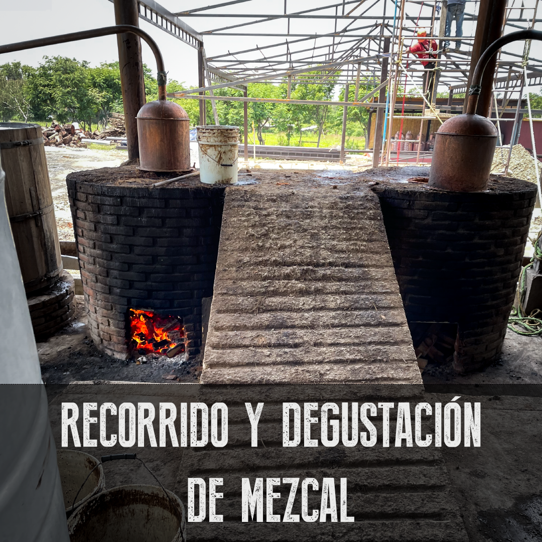 RECORRIDO AL PALENQUE Y DEGUSTACIÓN.