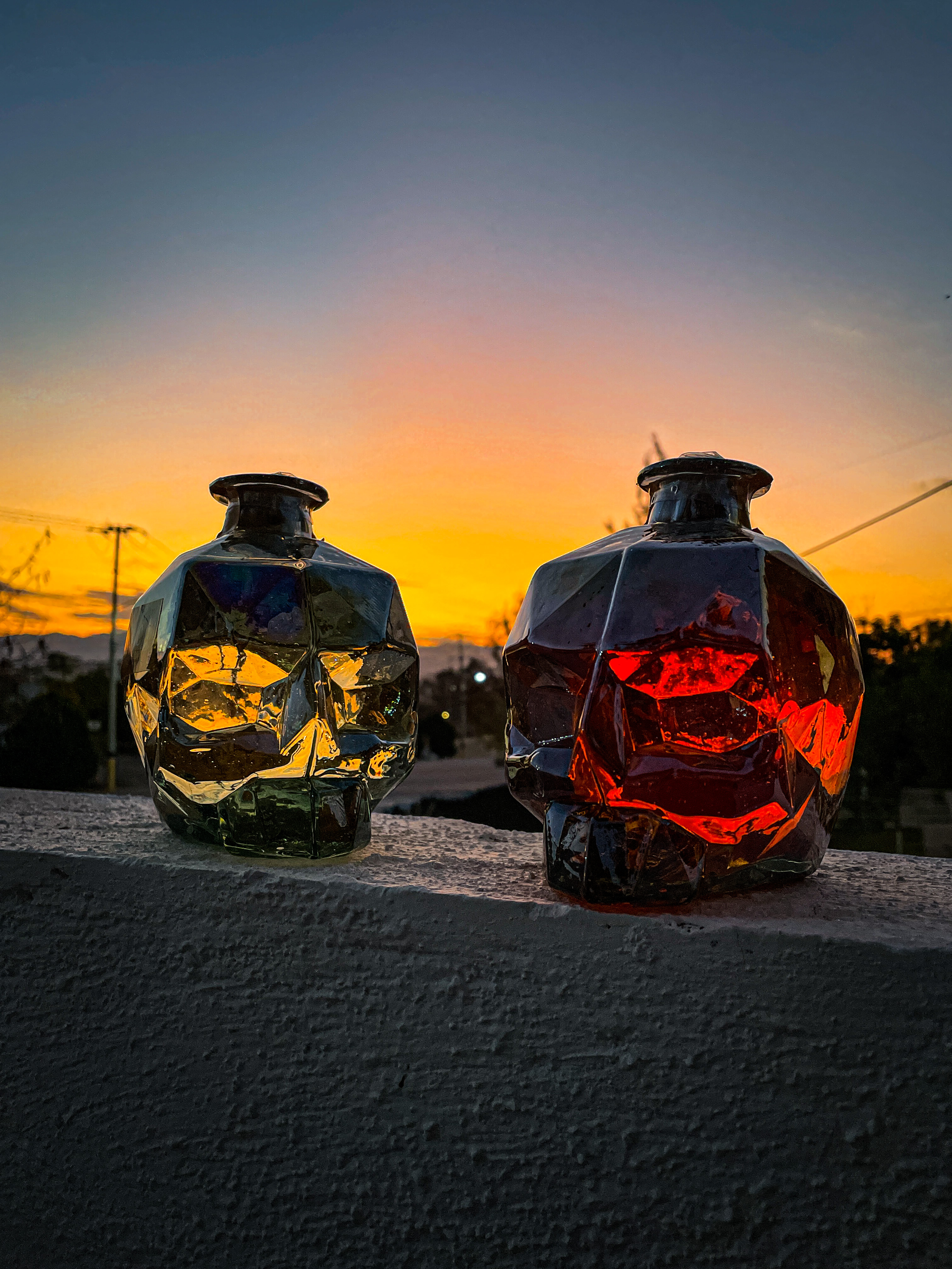 AGAVES SILVESTRES