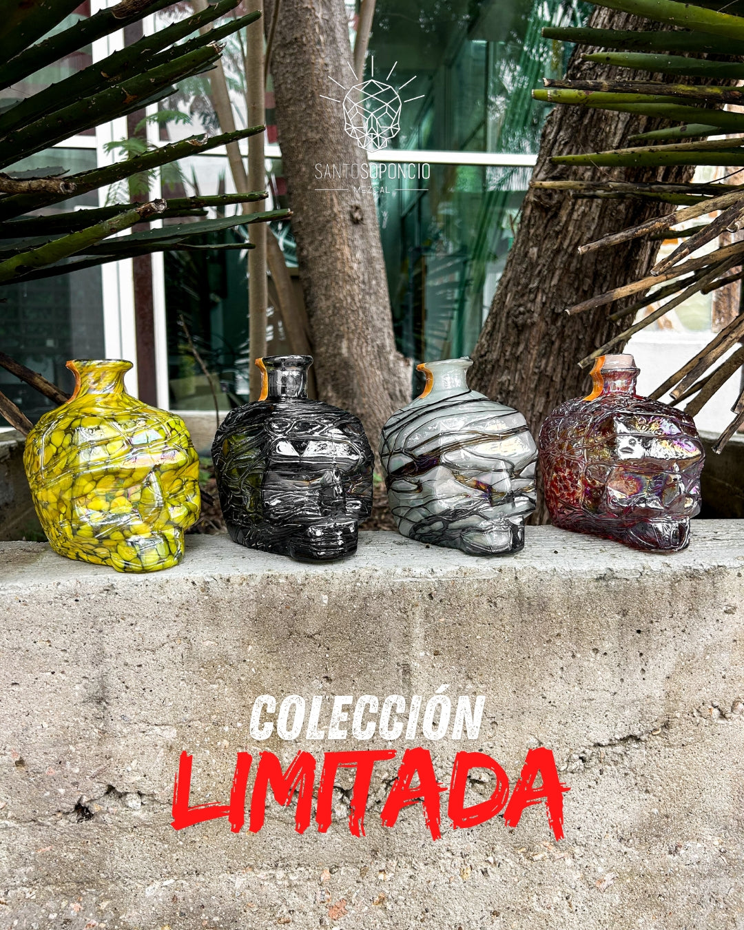 Cráneo edicion limitada