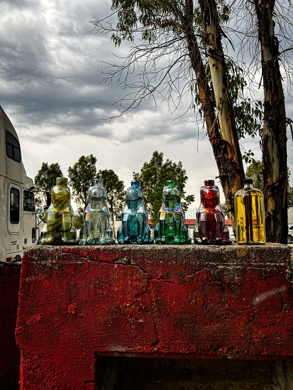 Botella tipo OSO