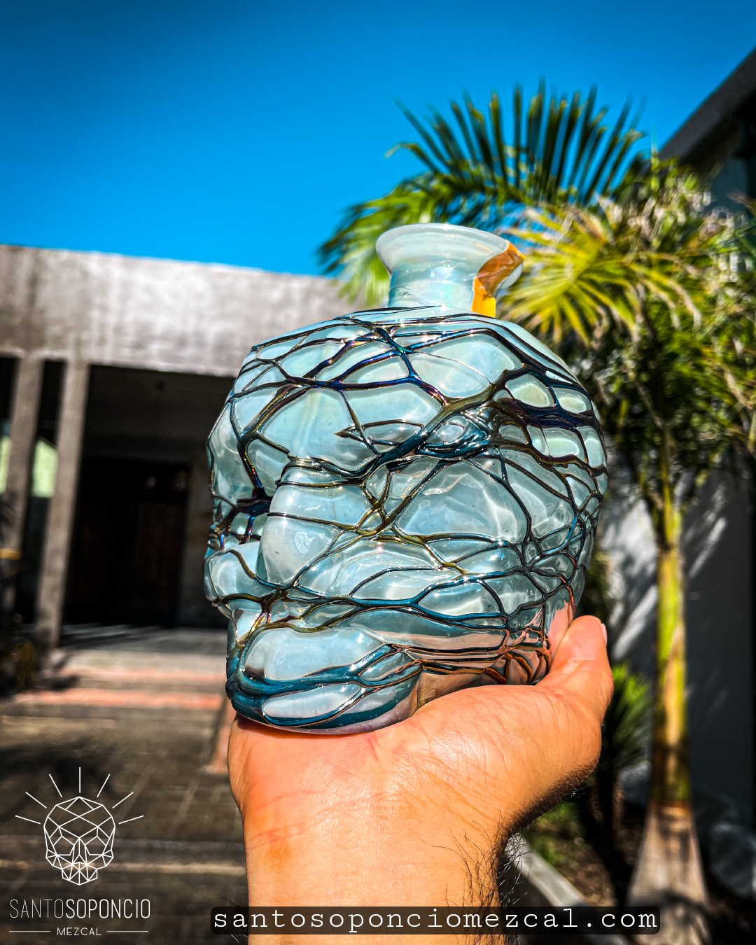 CRANEO EDICION ESPECIAL. (PIEZAS UNICAS)