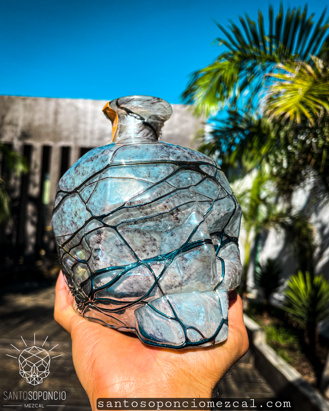 CRANEO EDICION ESPECIAL. (PIEZAS UNICAS)