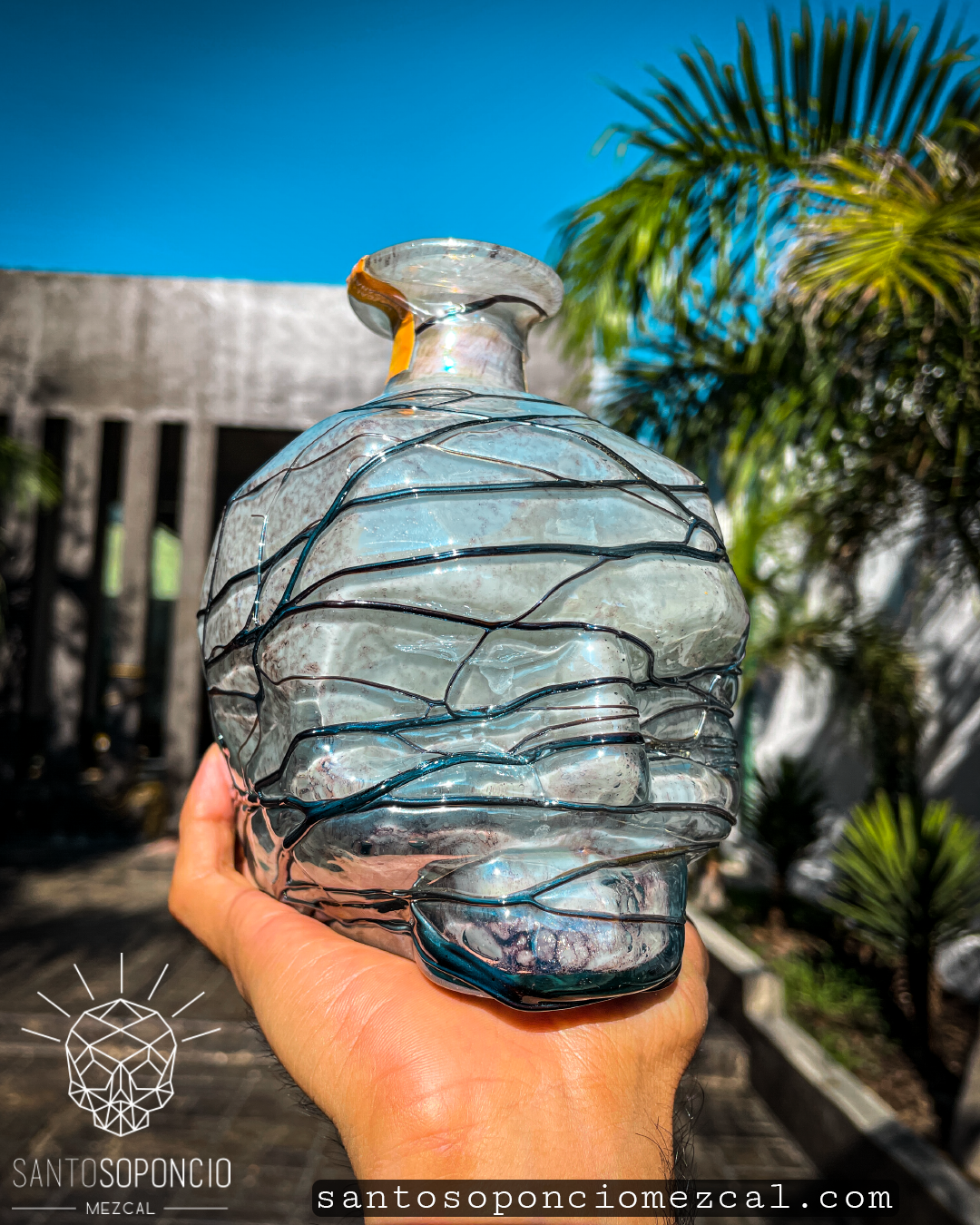 CRANEO EDICION ESPECIAL. (PIEZAS UNICAS)