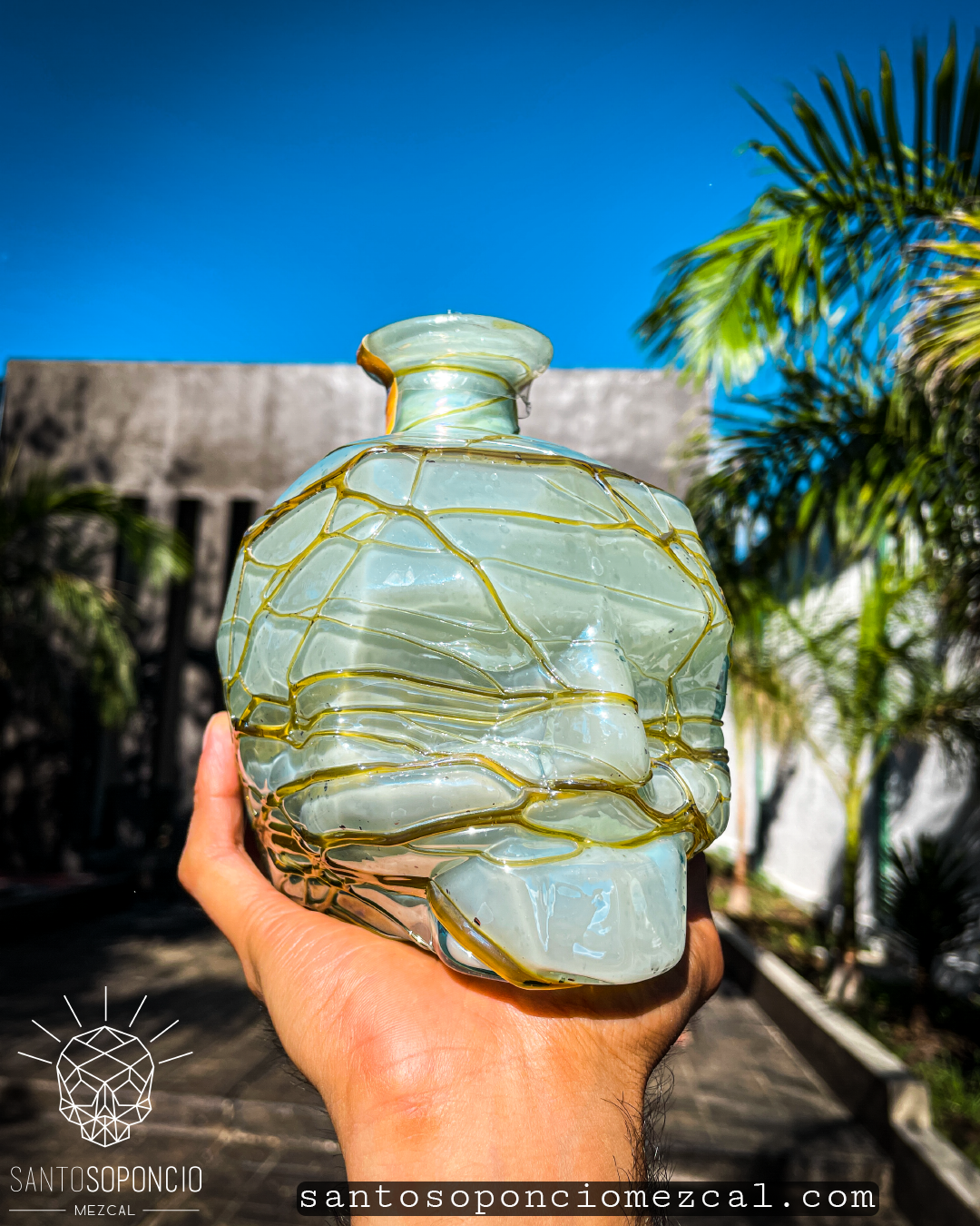 CRANEO EDICION ESPECIAL. (PIEZAS UNICAS)