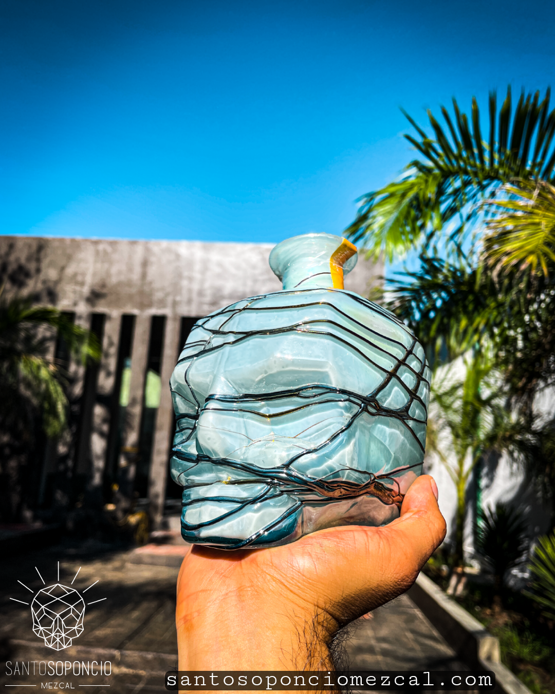 CRANEO EDICION ESPECIAL. (PIEZAS UNICAS)