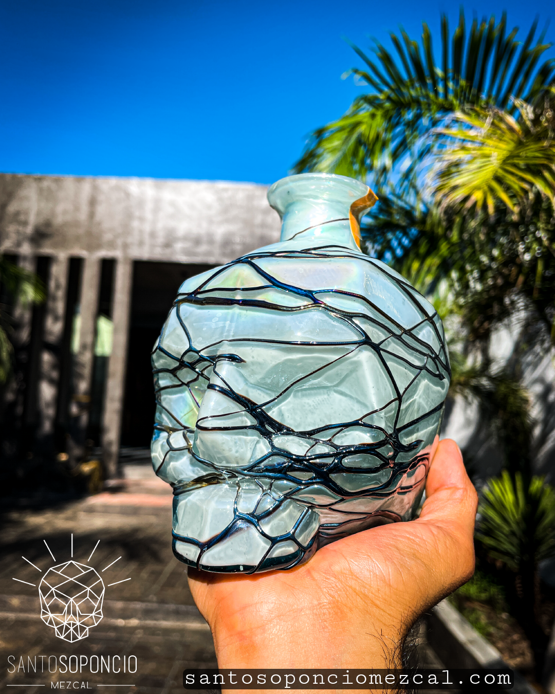 CRANEO EDICION ESPECIAL. (PIEZAS UNICAS)